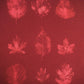 Nine Leaf Bleach Print Sweatshirt - Wine Red - Bare Canvas